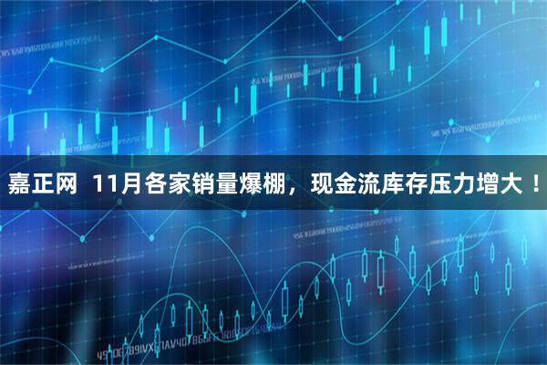 嘉正网  11月各家销量爆棚，现金流库存压力增大 ！