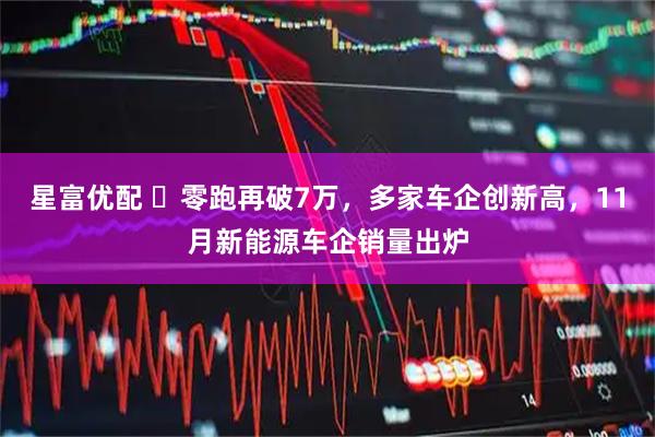 星富优配 ​零跑再破7万，多家车企创新高，11月新能源车企销量出炉