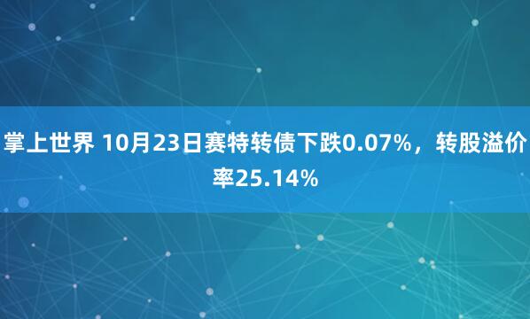 掌上世界 10月23日赛特转债下跌0.07%，转股溢价率25.14%