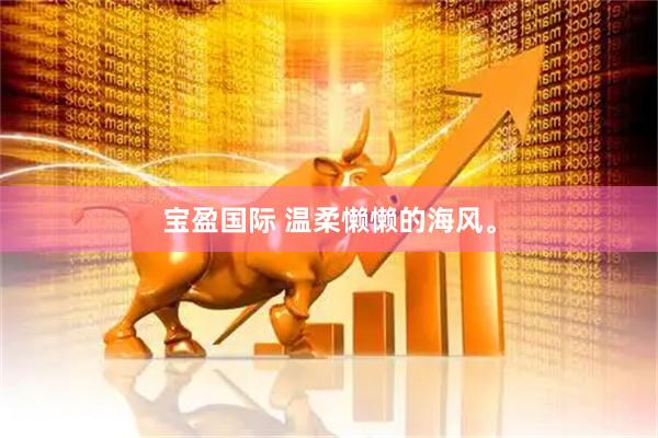 宝盈国际 温柔懒懒的海风。